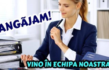 Asociația Apiconsult organizează concurs: Vrei să lucrezi cu profesioniști? Vino în echipa noastră!