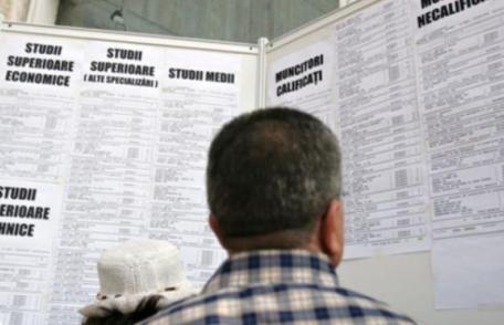 Peste patru mii de persoane angajate prin intermediul AJOFM Botoșani în perioada ianuarie-septembrie 2020