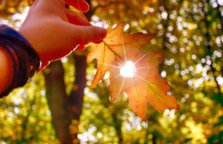 Horoscopul săptămânii 26 octombrie - 1 noiembrie. Taurii încep săptămâna sub aspecte sociale minunate, Racii au multe speranțe și perspective de viito