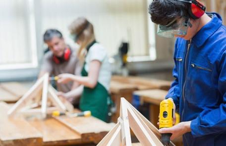 ISJ Botosani: Informarea operatorilor economici privind solicitarea școlarizării în învățământul profesional și dual, pentru anul școlar 2021-2022