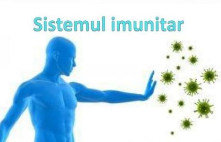 Cât timp după infectare produce corpul uman anticorpi împotriva virusului SARS-CoV-2