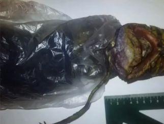 Şocant: O femeie ar fi ţinut un extraterestru în frigiderul ei timp de doi ani