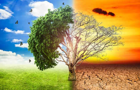 Săptămâna Educației Globale -„E lumea noastră și acționăm împreună!” - FOTO