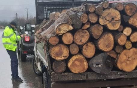 Dosar penal pentru un tânăr de 29 de ani din comuna Ibănești