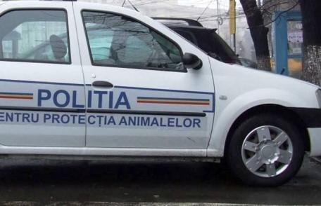 Poliția Animalelor face angajări! 264 de posturi scoase la concurs