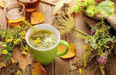 Tratamente din plante pentru o digestie sănătoasă