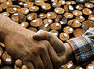 Important: Anunț licitație, masă lemnoasă