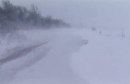 Viscolul pune mari probleme în Nordul și Estul județului