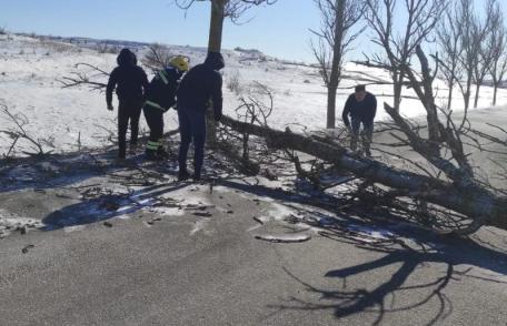 Pompieri voluntari blocați de un copac căzut în mijlocul drumului în timp ce mergeau la un incendiu