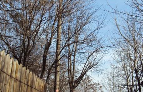 Primim la redacție – „O zonă mai sigură pentru cetățenii urbei” - FOTO