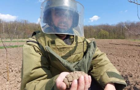 Grenadă descoperită în grădina unui localnic din județ - FOTO