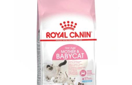 3 avantaje ale cumpărării de articole pentru animale de companie online