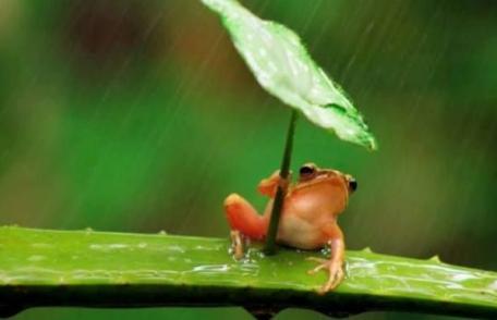 Meteorologii au anunțat când scăpăm de ploi. Prognoza meteo 1 - 14 iunie