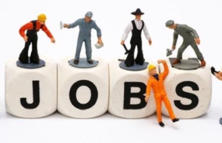 SC din Dorohoi angajează urgent muncitori pentru instalație de preparare a mortarelor uscate