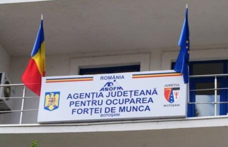 3.079 persoane angajate prin intermediul AJOFM Botoșani în perioada ianuarie-mai 2021