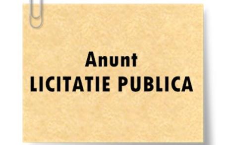Primaria municipiului Dorohoi: Anunţ de participare la licitaţie pentru INCHIRIERI spații/terenuri (domeniul PRIVAT)