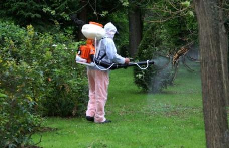 Primăria Dorohoi va efectua acțiuni de dezinsecție împotriva căpușelor și a țânțarilor! 