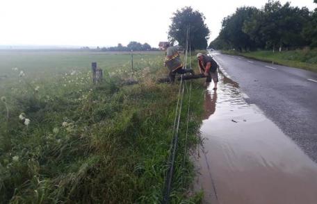 Vijelia a făcut din nou pagube în județ: Stâlpi și copaci căzuți pe străzi, acoperișuri desprinse - FOTO