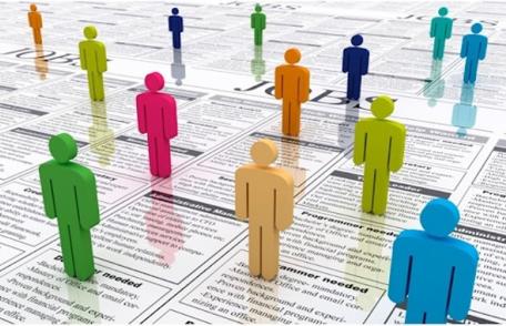 833 de locuri de muncă vacante pe piața muncii din județul Botoșani