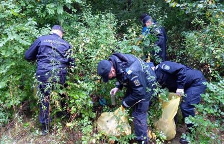 Jandarmii au spus „Let's do it, România!” și s-au apucat de treabă - FOTO