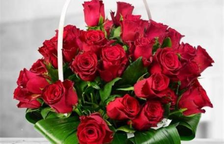 Ziua Mondială a Educației: Primarul Dorin Alexandrescu urează tuturor cadrelor didactice „La mulți ani!”