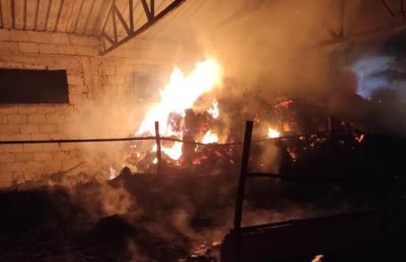 Incendiu violent la Tudora! Acoperișul unei case și o anexă cu păsări și iepuri distruse de flăcări