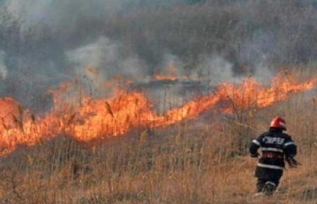 Patru incendii de vegetație uscată în mai puțin de patru ore