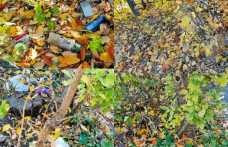 Primim la redacție – Natura şi educaţia sunt asemănătoare - FOTO