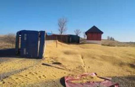 Camion încărcat cu cereale răsturnat pe un drum din județ