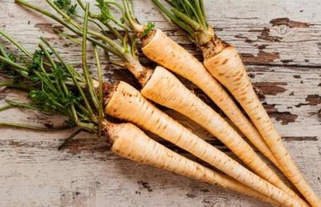 Cine și când nu are voie sa consume rădăcină de pătrunjel