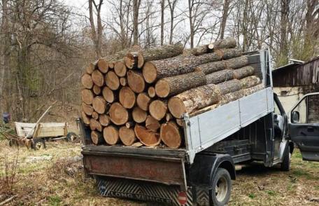 Material lemnos confiscat la intrarea în Dorohoi 