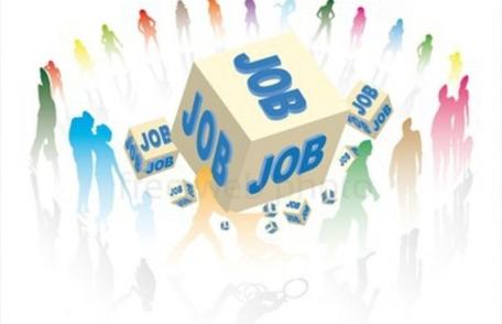 Peste 700 de locuri de muncă vacante, prin AJOFM, pe piața muncii din județul Botoșani