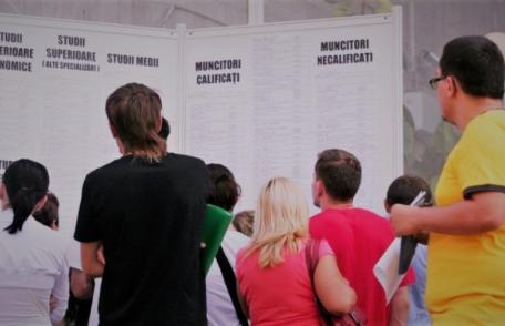 790 de locuri de muncă vacante, prin AJOFM, pe piața muncii din județul Botoșani