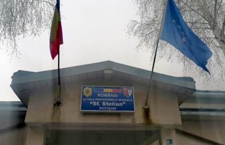 IȘJ Botoșani marchează ziua internațională a persoanelor cu dizabilități printr-o activitate de voluntariat - FOTO