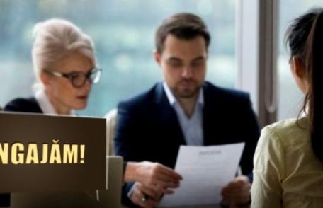 709 de locuri de muncă vacante, prin AJOFM, pe piața muncii din județul Botoșani