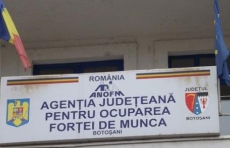 Peste 5000 de persoane angajate prin intermediul AJOFM BOTOȘANI in perioada ianuarie-noiembrie 2021