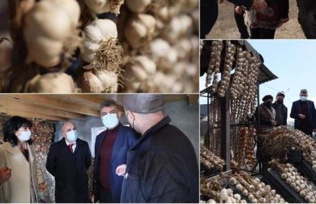 Lucian Trufin: „Subvenția pentru Programul „Usturoiul” este virată către conturile fermierilor!”