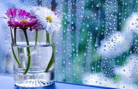 Cum poți elimina condensul de la ferestre. Cele mai ieftine și eficiente metode pentru a trece iarna cu brio