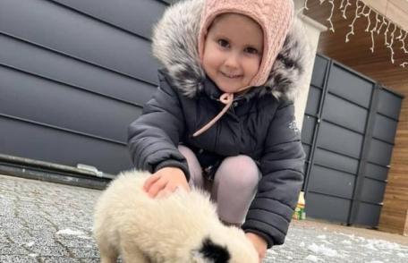 Apel umanitar! Carina, o fetiță de 4 ani din Dorohoi are nevoie de ajutor!