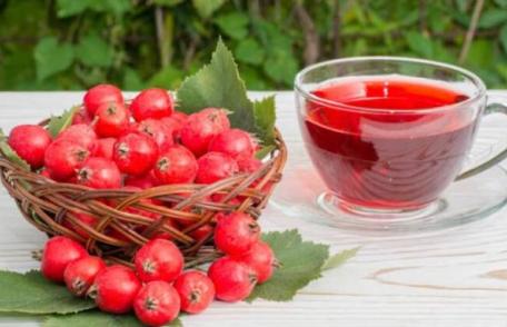 Beneficiile ceaiului de păducel