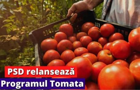 Lucian Trufin: „Relansarea Programului Tomata - Sprijin concret și predictibilitate pentru legumicultorii botoșăneni!”