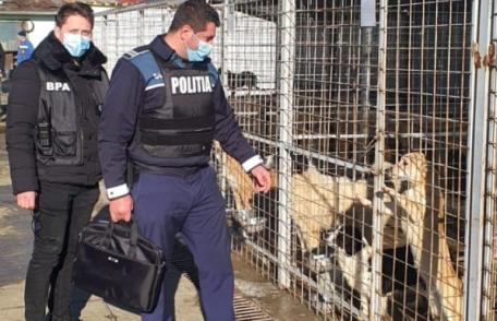 Controale efectuate de polițiștii din cadrul biroului pentru protecția animalelor