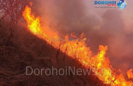 Incendiu de vegetație izbucnit la Văculești. Pompierii dorohoieni au intervenit de urgență - FOTO