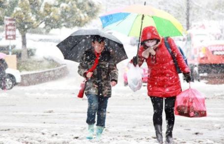 COD GALBEN de ninsori și vânt puternic, în județul Botoșani, pentru următoarele două zile