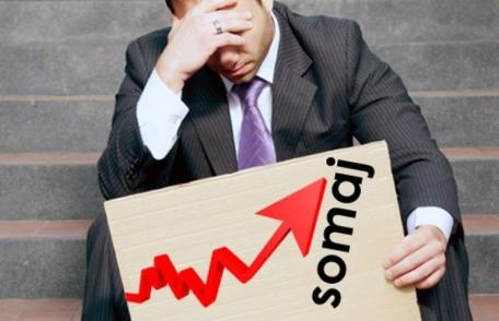 Rata șomajului înregistrat în evidențele AJOFM Botoșani în luna decembrie 2021 a fost de 2,07%