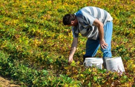 Locuri de muncă în Danemarca prin intermediul reţelei EURES