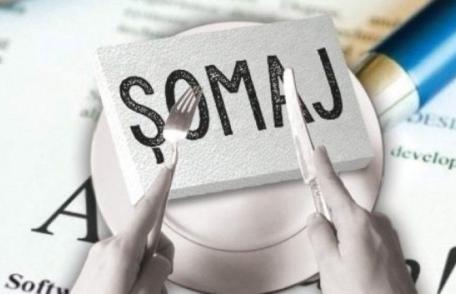 AJOFM Botoșani: Detalii referitoare la acordarea indemnizației de șomaj tehnic pentru luna ianuarie 2022!