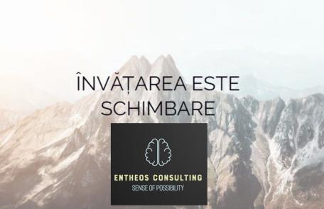 Entheos Consulting - Vrei să faci primul pas pe drumul spre succes? Începe cu o ședință de consultanță și descoperă beneficiile chiar acum