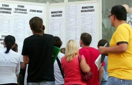 280 persoane angajate prin intermediul AJOFM BOTOȘANI în luna ianuarie