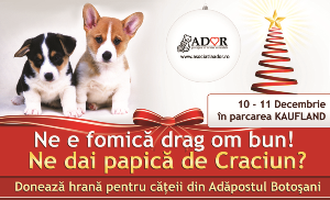 Ne e fomica, drag om bun! Ne dai papica de Craciun?  